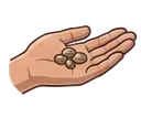 Seeds