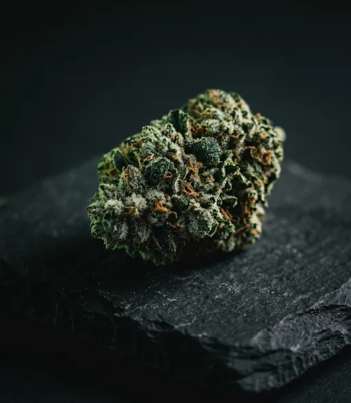 Cannabis flower for sale at Hi Class Cannabis, a legal dispensary in Toronto