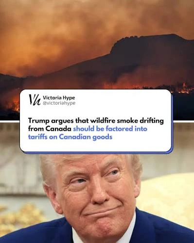 How Will Trump’s 25% Tariffs Affect the Canadian Cannabis Industry?